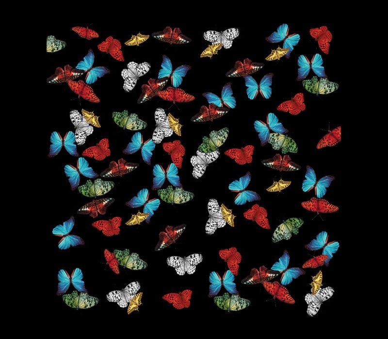Perla Mía - Ilustración Trama Mariposas